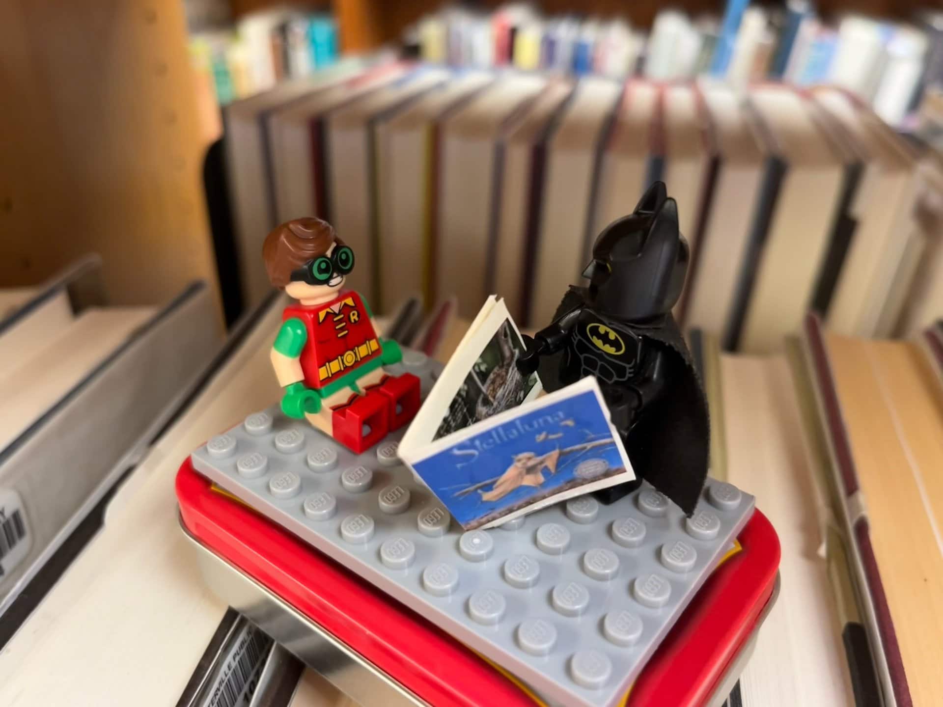 batman reading to robin