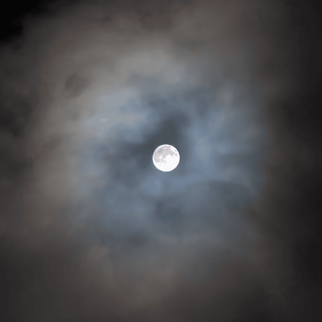 ccas astronomy on cape sq