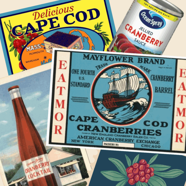 "Cranberries: New England's Bounty"