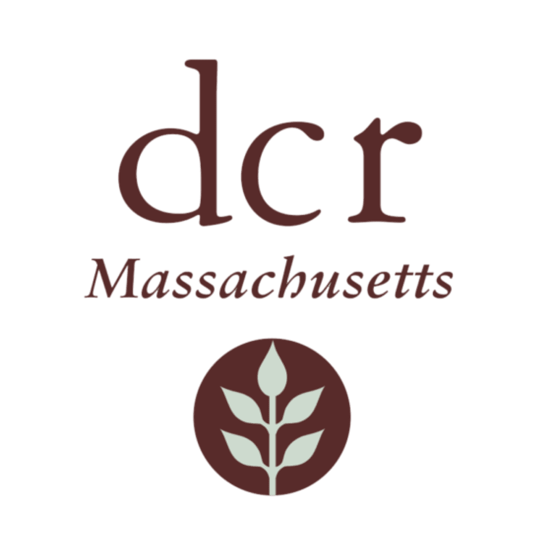 dcr parks pass massachusetts sq (1)