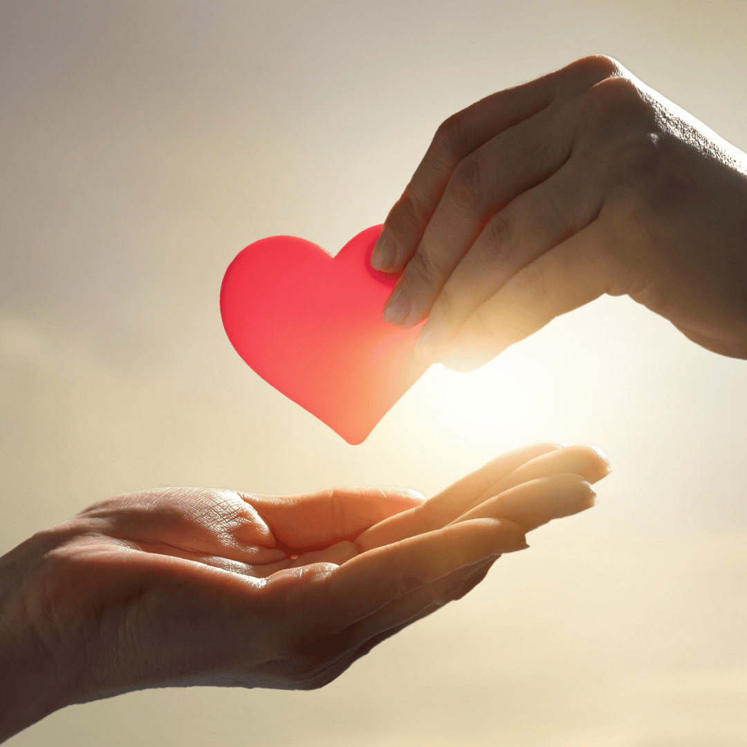 donations ways to donate website