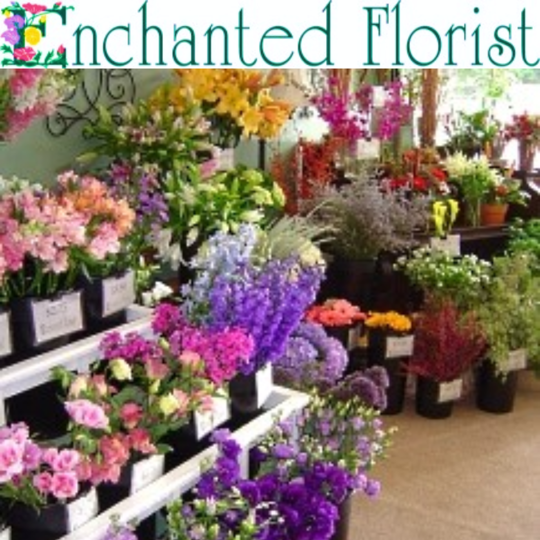 Display of assorted colorful flowers in black pots arranged on shelves inside a florist shop, with a sign reading "Enchanted Florist" at the top.