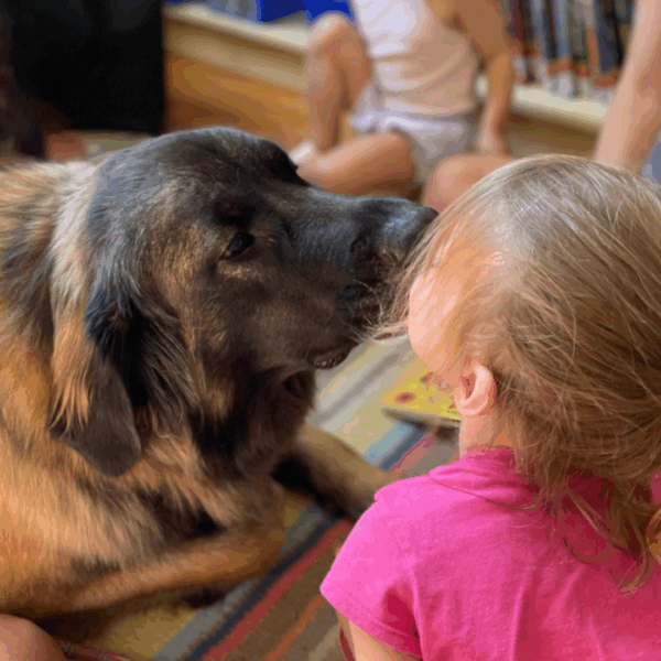 Read to Comfort Dogs