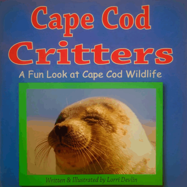 Local Author Storytime with Lorri Devlin