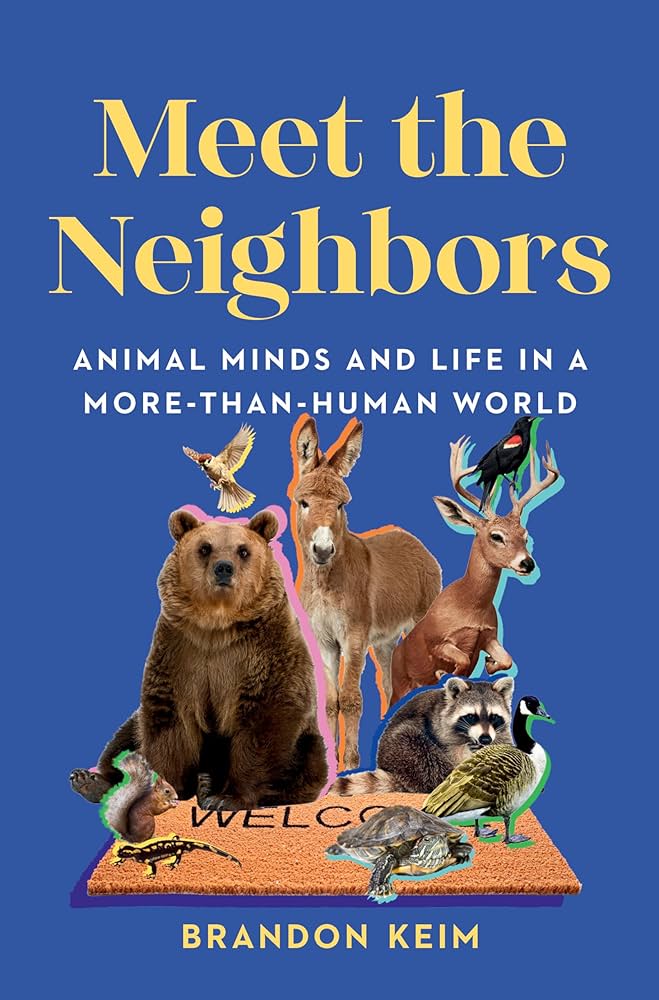 meet the neighbors keim libby reads cover