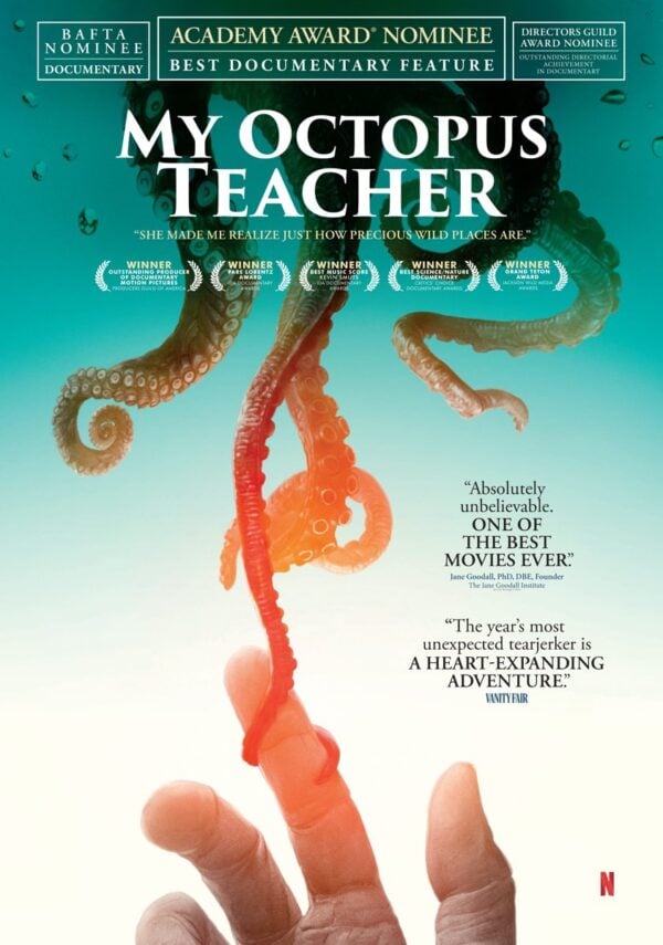 Watch Wednesdays: "My Octopus Teacher"