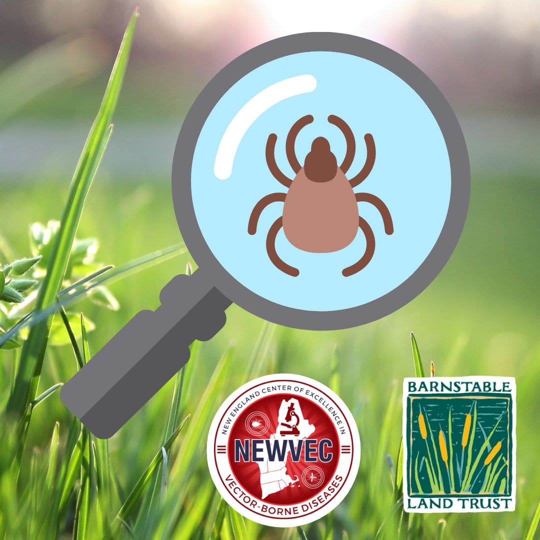 tick prevention itch project