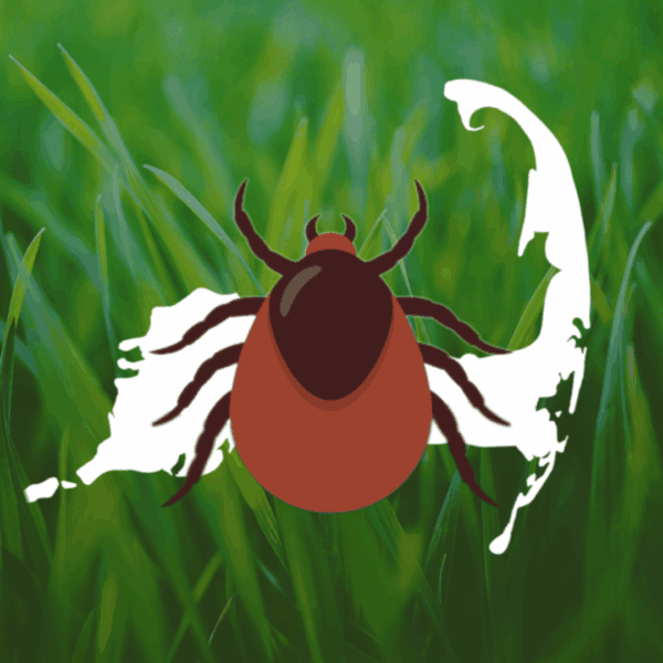 Make Ticks Take a Hike!